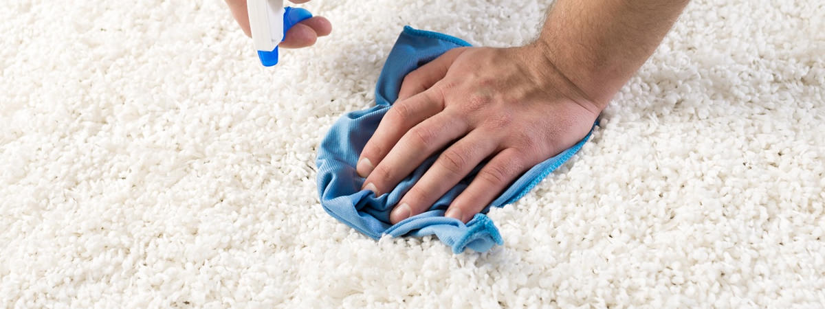 Reinigung Pflege Teppich Ebner